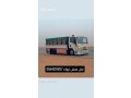 tbok-small-0