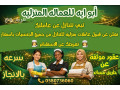 mtloooob-oyogd-aaamlat-lltnazl-mn-gmyaa-algnsyat-small-0