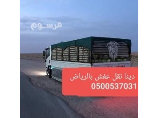 دينا نقل عفش حي حطين حي الخزامي 0500537031_dina