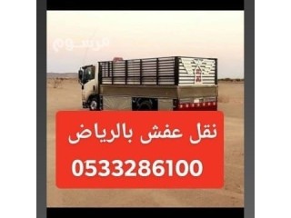 دينا نقل عفش حي النخيل 0َ533286100