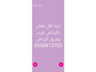 نقل عفش شرق الرياض ️0510950133️