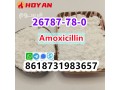 cas-26787-78-0-amoxicillin-high-purity-china-supplier-small-0