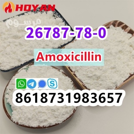 cas-26787-78-0-amoxicillin-high-purity-china-supplier-big-1