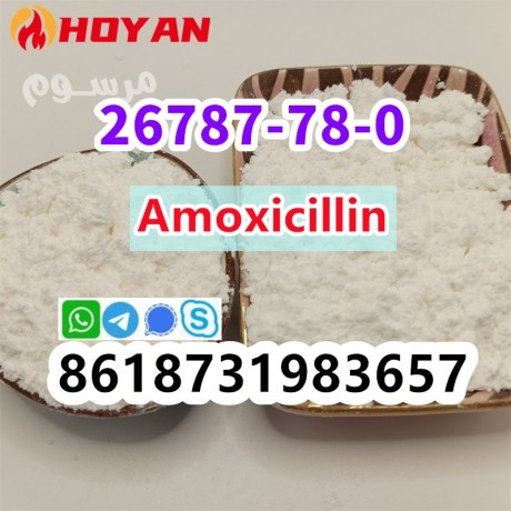 cas-26787-78-0-amoxicillin-high-purity-china-supplier-big-0