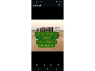 دينا نقل عفش داخل جدة 0َ533286100