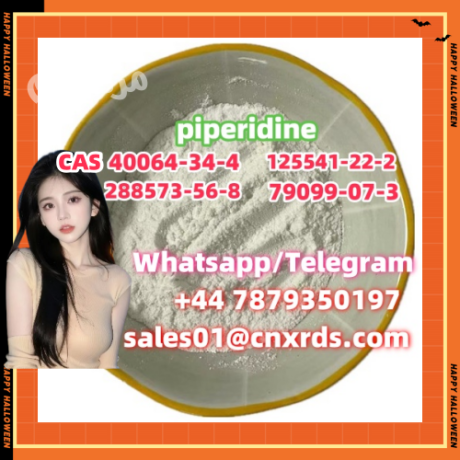 sell-high-quality-piperidine-cas-40064-34-4-288573-56-8-125541-22-2-79099-07-3-big-0