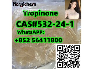 CAS 532-24-1 Tropinone