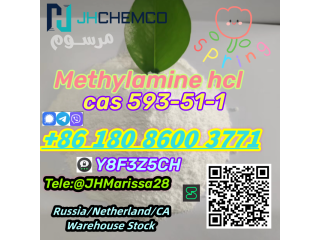 CAS 593-51-1 Methylamine hydrochloride Secured Delivery Threema: Y8F3Z5CH