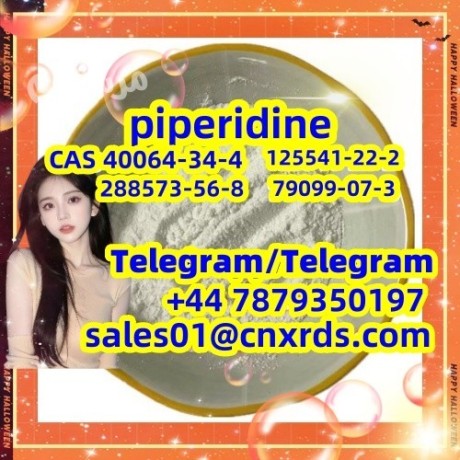 hot-sale-piperidine-cas-40064-34-4-288573-56-8-125541-22-2-79099-07-3-big-0