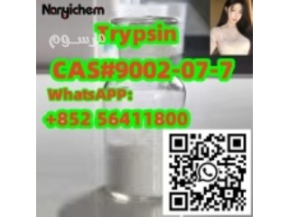 CAS 9002-07-7 Trypsin