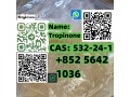 cas-532-24-1-name-tropinone-small-0