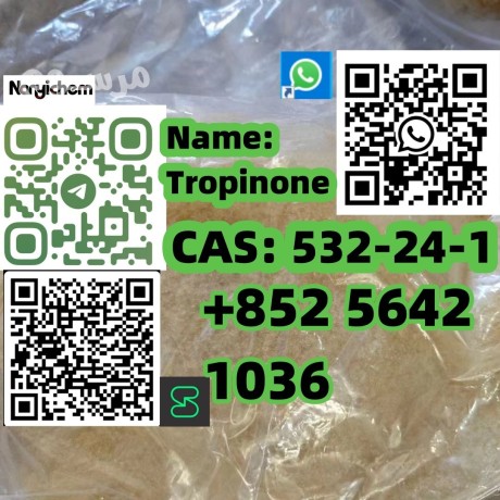 cas-532-24-1-name-tropinone-big-0