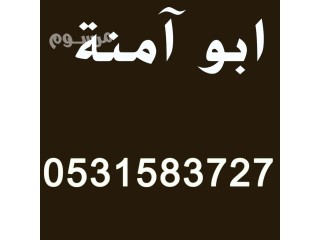 دينا طش اثاث قديم شمال الرياض 0531583727