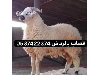 دينا نقل عفش بالرياض 0537422374 قصاب بالرياض