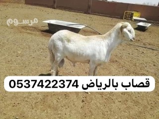 قصاب متخصص بالرياض 0537422374 ارقام جزارين بالرياض 0537422374