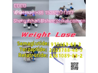 Manufacturer 99% Purity Semaglutide Raw Powder CAS 910463-68-2 GLP-1