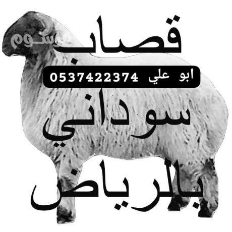 ksab-balryad-mahr-0537422374-ksab-mtkhss-fy-aayd-aladh-almbark-big-0