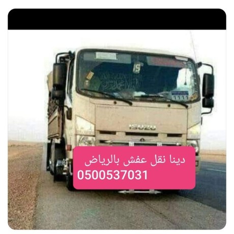 dyna-mshaoyr-hy-alrbyaa-alryad-0500537031-onyt-ghmarh-dtsn-big-0
