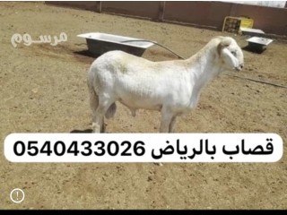 قصاب بالرياض 0540433026