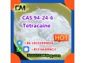 factory-supply-cas-94-24-6-high-quality-tetracaine-small-1