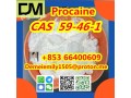 cas-59-46-1-procaine-china-factory-supply-lower-price-high-purity-high-quality-small-0