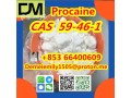 cas-59-46-1-procaine-china-factory-supply-lower-price-high-purity-high-quality-small-1