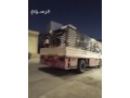 lory-gambo-nkl-alaafsh-balryad-0533286100-lory-nkl-aafsh-balryad-small-0