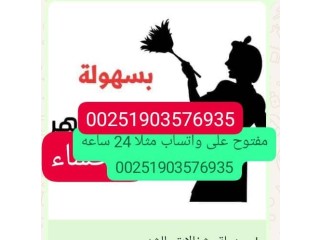 شغالات بالشهر الحساء