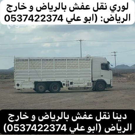 lory-nkl-aafsh-mn-alryad-aly-gd-0537422374-big-0