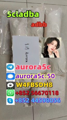 potent-5cladba-raw-material-5cl-adbchemical-strongest-adbb-5cladba-precursor-raw-material-5f-adb-4fadb-5f-adb-4fadb-low-price-big-0