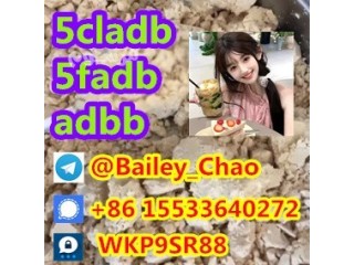 5CL-ADB powder supplier 5cl adb 5cladba in stock