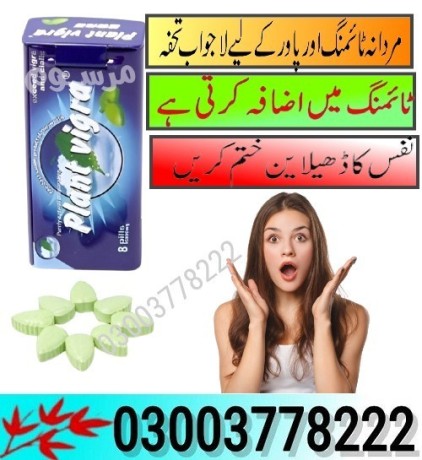 plant-vigra-price-in-pakistanb-03003778222-big-0