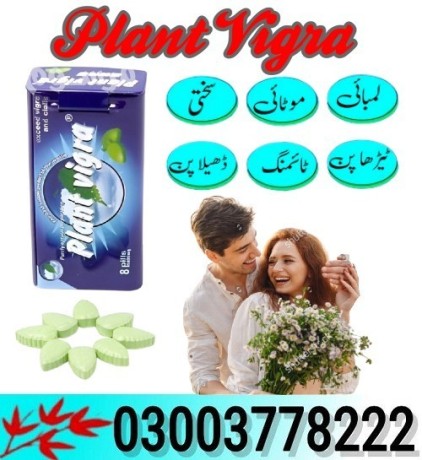 plant-vigra-price-in-pakistanb-03003778222-big-1