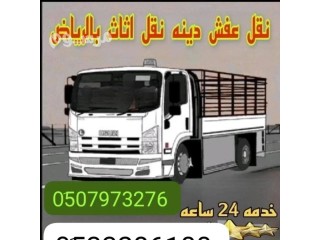 دينه دينا نقل عفش بالرياض وخارج الرياض 0َ533286100