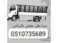 dyna-tsh-mkhlfat-alathath-alkdym-balryad-0507973276-tsh-mkhlfat-talfh-small-0