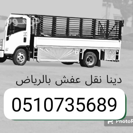 dyna-tsh-mkhlfat-alathath-alkdym-balryad-0507973276-tsh-mkhlfat-talfh-big-0