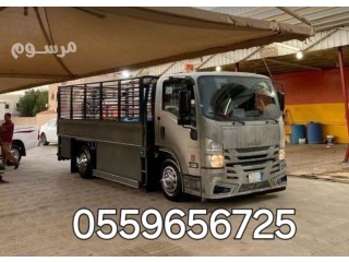 دينا نقل عفش شمال الرياض 0559656725