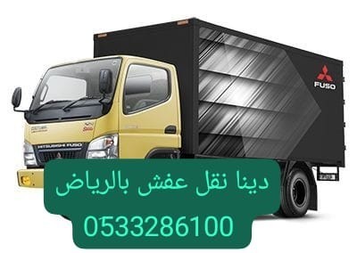 altkhls-mn-alathath-alkdym-bshrk-alryad-0533286100-dyna-tsh-big-0