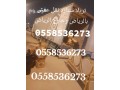 tryla-mshaoyr-nkl-aafsh-balryad-0558536273-tryla-starh-goanb-small-0